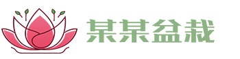 开云app官方在线入口 - 开云（中国）